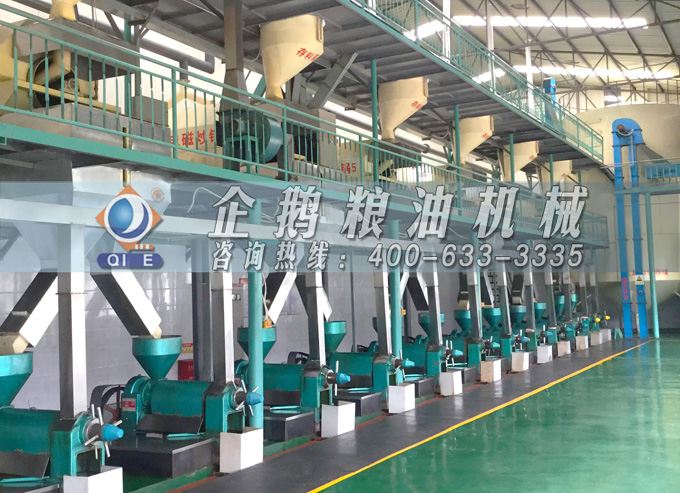 如何降低壓榨花生油中黃曲霉毒素含量？企鵝糧油機(jī)械為您提供可靠方法(圖2)