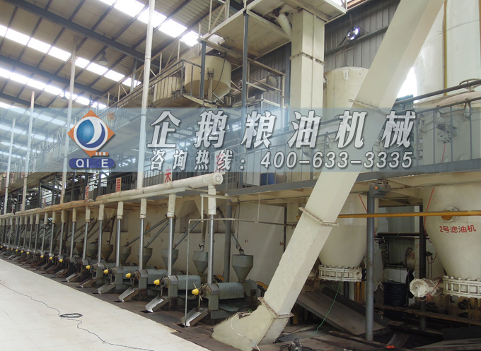 如何降低壓榨花生油中黃曲霉毒素含量？企鵝糧油機(jī)械為您提供可靠方法(圖3)