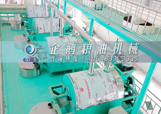 如何降低壓榨花生油中黃曲霉毒素含量？企鵝糧油機(jī)械為您提供可靠方法(圖4)